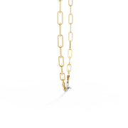 Gleaming Flush Contour Necklace (NK14007)